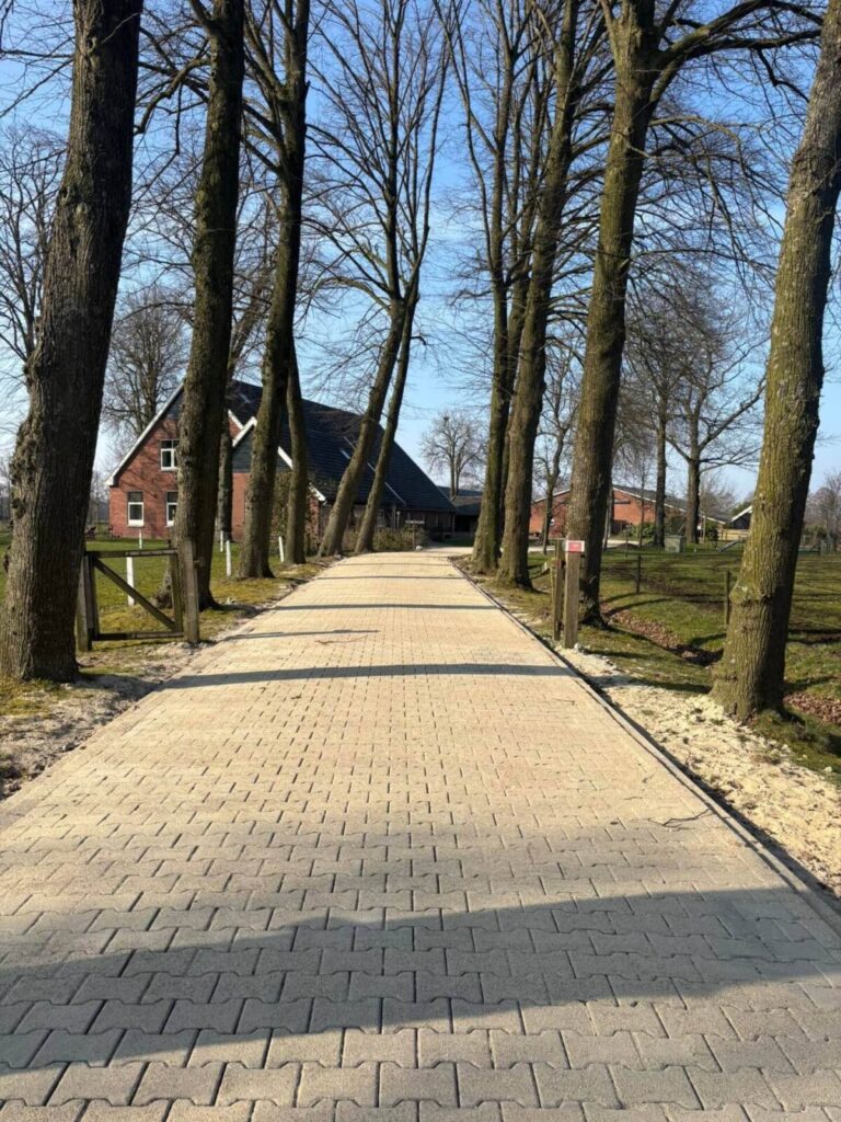 Oprit met laanbomen, straatwerkproject van Lepping in Haaksbergen